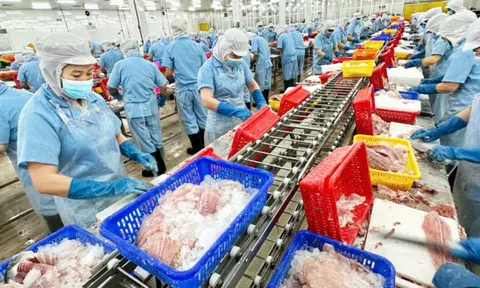 Doanh nghiệp tư nhân muốn phát triển: Phải thượng tôn pháp luật