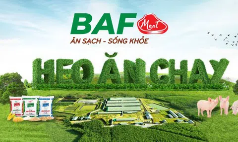 Nợ chiếm tỷ lệ cao, BaF Việt Nam (BAF) phát hành 500 tỷ đồng trái phiếu để 'đảo nợ'