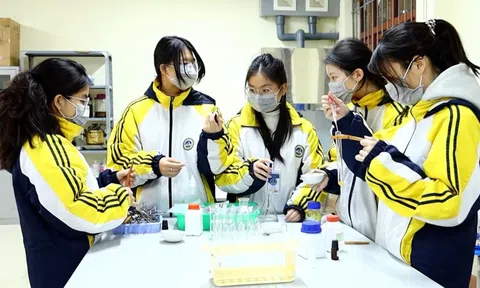 Ươm mầm doanh nhân trẻ từ ghế nhà trường: Khát vọng vươn xa từ Lạng Sơn