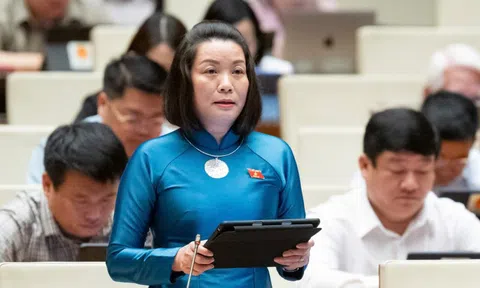 Cần đưa sản phẩm nhựa sử dụng 1 lần, túi ni lông vào diện chịu thuế tiêu thụ đặc biệt
