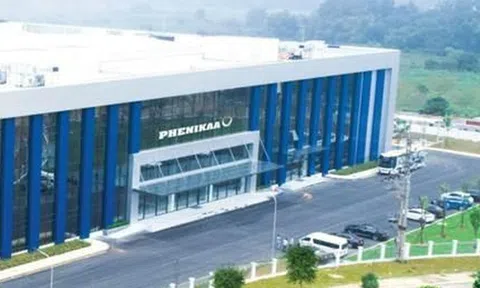 Phenikaa Group báo lãi 2024 tăng 45%, nợ phải trả vượt 6.000 tỷ đồng