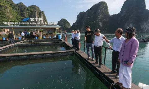 Phát triển nông nghiệp xanh bền vững cần sự chung tay của cộng đồng
