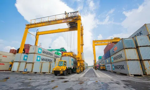 Viconship (VSC) tăng sở hữu tại Xếp dỡ Hải An (HAH), nhóm công ty nắm giữ hơn 8,5% vốn