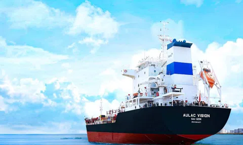 Vận tải Âu Lạc của chủ tịch Ngô Thu Thúy chi 450 triệu USD làm mới đội tàu