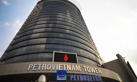 Petrosetco (PET) mua lại hơn 1,1 triệu cổ phiếu ESOP, PVN dự kiến thoái toàn bộ vốn trong năm 2025