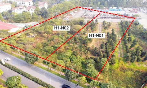 Hà Nội: Giao hơn 10.000m² đất tại Long Biên cho chủ đầu tư xây dựng nhà ở biệt thự