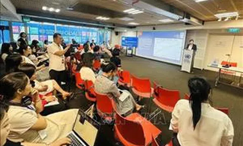 Báo cáo phát triển con người (HDR) 2025: Việt Nam thuộc nhóm quốc gia có mức phát triển con người cao