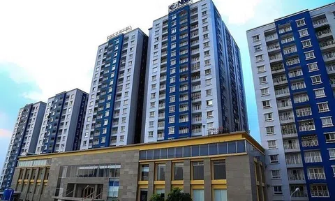 Nhóm CII nắm 73% vốn Năm Bảy Bảy (NBB) sau thương vụ thâu tóm cổ phần từ Thép Mỹ