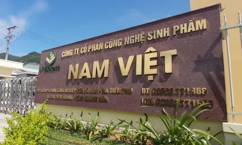 Tổng giám đốc Nam Việt (ANV) tăng sở hữu trong khi con trai bị bán giải chấp cổ phiếu