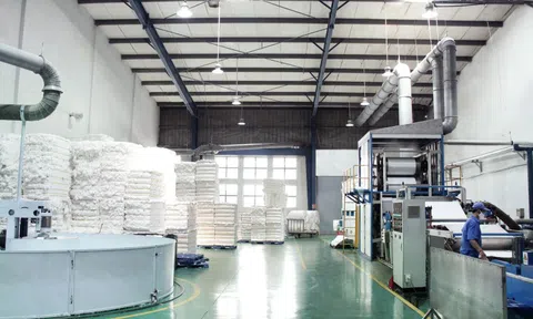 Bông Bạch Tuyết (BBT) lên kế hoạch tăng gấp đôi vốn, chuẩn bị chuyển sàn