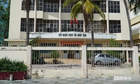 Bình Thuận: Nhiều cơ sở dạy thêm, học thêm vi phạm, giáo viên tự ý chiêu sinh, thu học phí