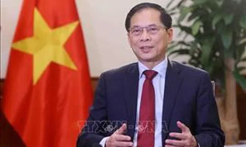 Tạo nền tảng vững chắc đưa quan hệ song phương giữa Việt Nam và các nước lên tầm cao mới