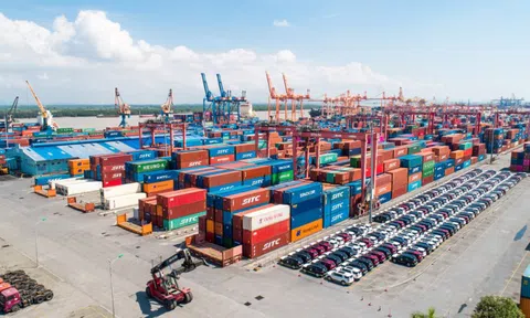 Cảng Đình Vũ (DVP) chốt quyền trả cổ tức tiền mặt tỷ lệ 40%, cổ đông lớn hưởng lợi