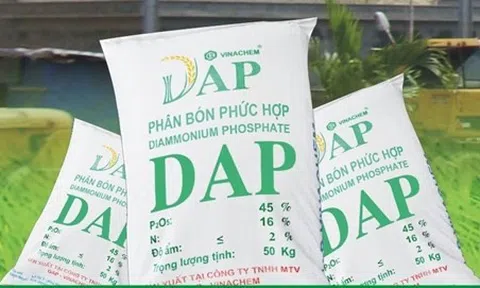DAP – Vinachem (DDV) lên kế hoạch kinh doanh thận trọng cho quý II/2025 dù quý đầu năm lãi lớn