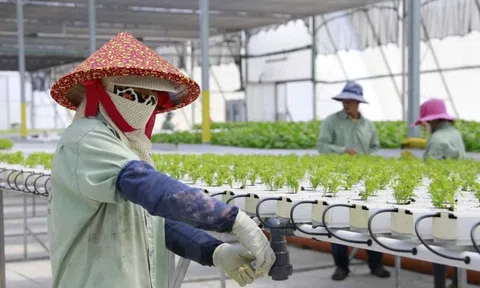 Cảnh giác với thông tin tuyển lao động đi Israel: Bộ Nội vụ ra khuyến cáo