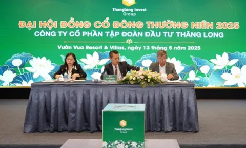 Tập đoàn Đầu tư Thăng Long (TIG) dự kiến phát hành hơn 240 triệu cổ phiếu trong năm 2025