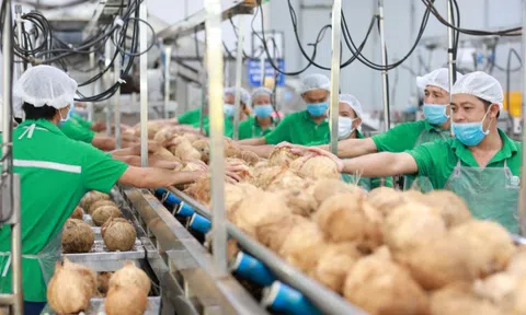 Hợp lực xây dựng chuỗi giá trị nông nghiệp tuần hoàn