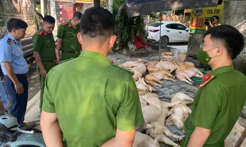 Vĩnh Phúc: Phát hiện, xử lý gần 800kg thịt lợn bốc mùi hôi thối tại nhà hàng