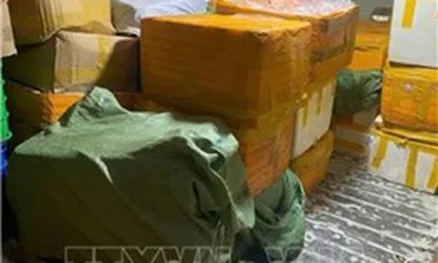 Phát hiện gần 8 tấn sữa, thực phẩm chức năng không rõ nguồn gốc