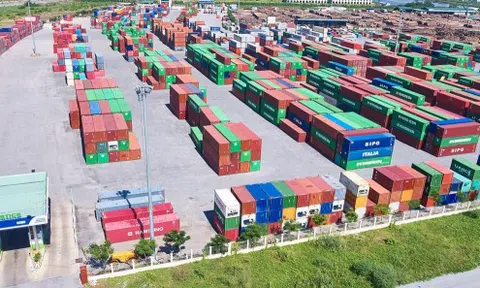 Viconship (VSC) tiếp tục thâu tóm cổ phiếu HAH, nâng tỷ lệ sở hữu lên 11,61%
