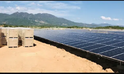 Năng lượng Bắc Phương tiếp tục mua lại trái phiếu, lợi nhuận 2024 tăng mạnh