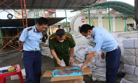 Mở đợt cao điểm ngăn chặn, đẩy lùi buôn lậu, gian lận thương mại từ 15/5 đến 15/6/2025