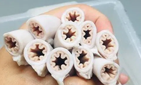 Thành phố Hồ Chí Minh đồng loạt kiểm tra quán kinh doanh lòng xe điếu