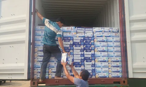 Khởi tố, bắt tạm giam nữ cán bộ hải quan tiếp tay buôn lậu sữa