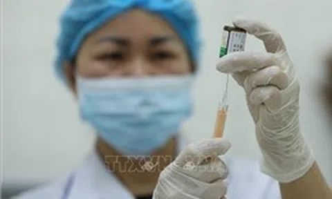 Bộ Y tế tiếp nhận 500.000 liều vaccine phòng bệnh sởi
