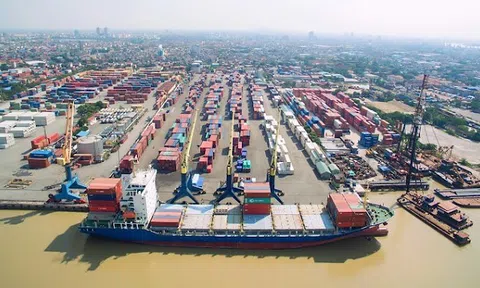 Hai lãnh đạo chủ chốt Cảng Đoạn Xá (DXP) từ nhiệm