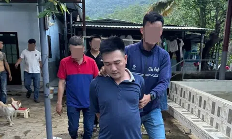 Triệt phá sới cá độ đá gà quy mô lớn, núp bóng trại nuôi gà