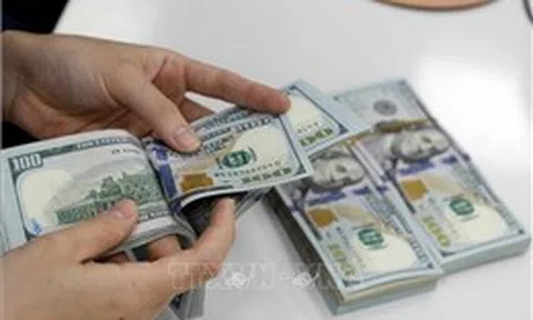 Tỷ giá hôm nay 29/4: Giá USD và NDT cùng đi xuống