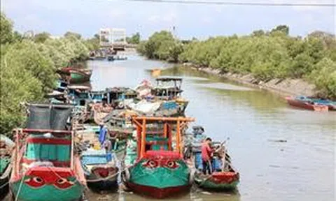 Tổ hợp tác khai thác hải sản giúp ngư dân tăng thu nhập