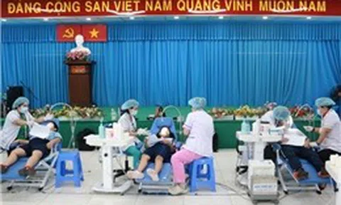 TP Hồ Chí Minh: Bệnh lý răng miệng ở học sinh giảm nhờ thí điểm mô hình 'trường - trạm'