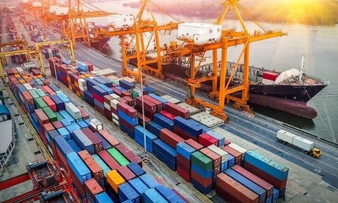 Cảng Đoạn Xá (DXP) trình kế hoạch lợi nhuận 2025 giảm, hủy tăng vốn, thay loạt nhân sự