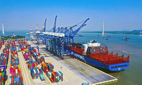 Dịch vụ Biển Tân Cảng (TOS): Đẩy mạnh M&A, lợi nhuận và thị giá tăng vọt