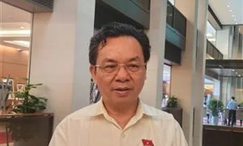 Chấp nhận rủi ro trong nghiên cứu để đầu tư đúng cho khoa học