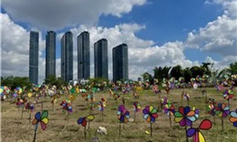 ‘Ngọn đồi chong chóng’ rực rỡ sắc màu giữa lòng TP Hồ Chí Minh