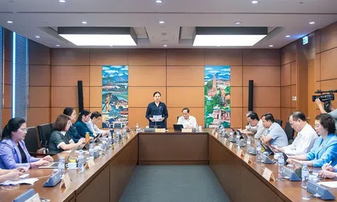 ĐBQH đề nghị tăng mạnh chế tài hình sự, xử nặng tội sản xuất, buôn bán hàng giả