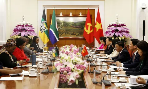 Thường trực Ban Bí thư Trần Cẩm Tú hội đàm với Phó Tổng Thư ký thứ nhất Đảng ANC, Nam Phi