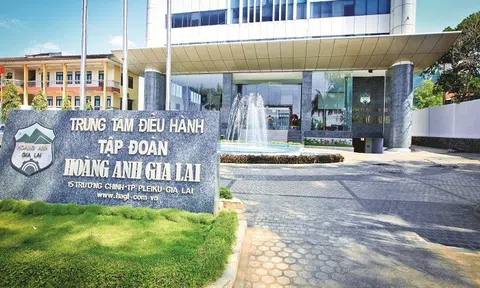 Hoàng Anh Gia Lai (HAG) tổ chức Đại hội cổ đông sớm, lỗ lũy kế giảm