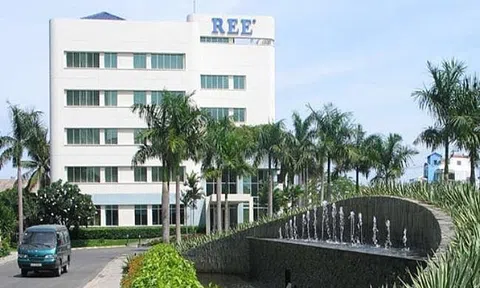 Cơ Điện Lạnh (REE) sắp phát hành gần 71 triệu cổ phiếu trả cổ tức năm 2024, tỷ lệ 15%