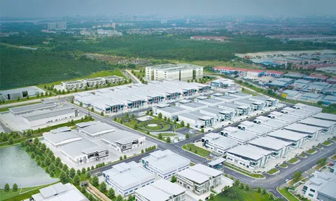 Quảng Ngãi: Quy hoạch hai khu công nghiệp quy mô lớn tại Dung Quất, tổng diện tích hơn 5.200ha