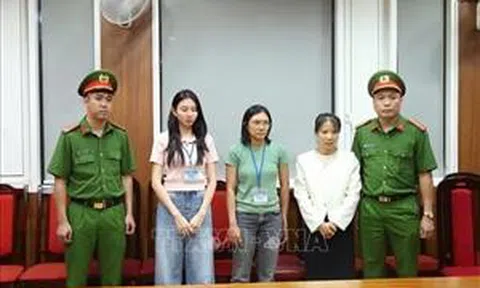 Đại biểu Quốc hội: Người nổi tiếng càng phải sống, làm việc đúng pháp luật và chuẩn mực đạo đức