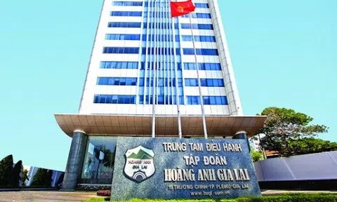 Hoàng Anh Gia Lai (HAG) thoái toàn bộ vốn tại công ty liên kết duy nhất, đặt mục tiêu xóa lỗ lũy kế trong năm 2025