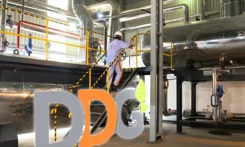 Đầu tư Công nghiệp Xuất nhập khẩu Đông Dương (DDG) lỗ ròng hơn 63 tỷ đồng sau kiểm toán, đối mặt rủi ro thanh khoản nghiêm trọng