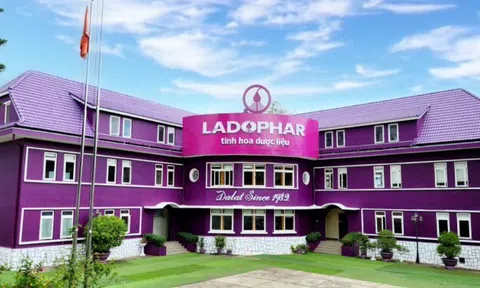 Ladophar (LDP) chào bán riêng lẻ hơn 13,6 triệu cổ phiếu, 3 nhà đầu tư dự kiến nắm quyền kiểm soát