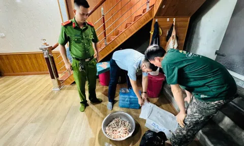 Phát hiện gần 500kg thực phẩm đông lạnh không rõ nguồn gốc ở Hạ Long