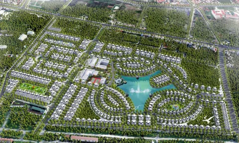 Lideco (NTL) báo lãi quý I/2025 nhờ đầu tư tài chính, doanh thu bất động sản gần như không có
