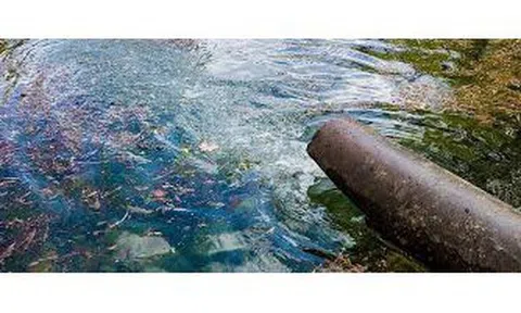 Hé lộ nguyên nhân một công ty ở Nghệ An bị xử phạt nửa tỷ đồng